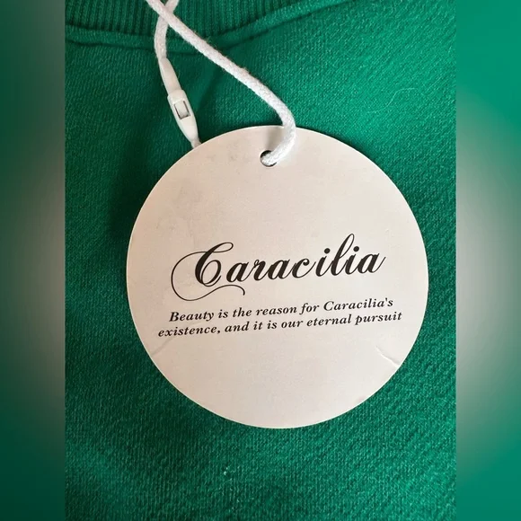 Caracilia Kelly Green Crewneck Sweatshirt NWT Size L Oversized Soft Fleece Lined - Picture 5 of 7
